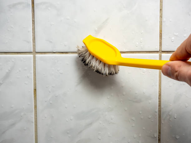 Best Preventive Mold Services in Northbrook, IL