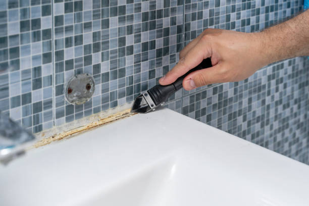 Northbrook, IL Mold Remediation Company